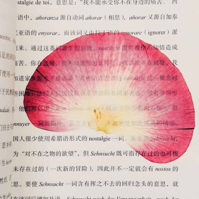 hirn Eine pinkfarbene Blütenblatt-Hälftenseite auf einer offenen Buchseite.